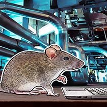 Banana RAT: vírus criado por brasileiros rouba Pix de clientes de 16 bancos